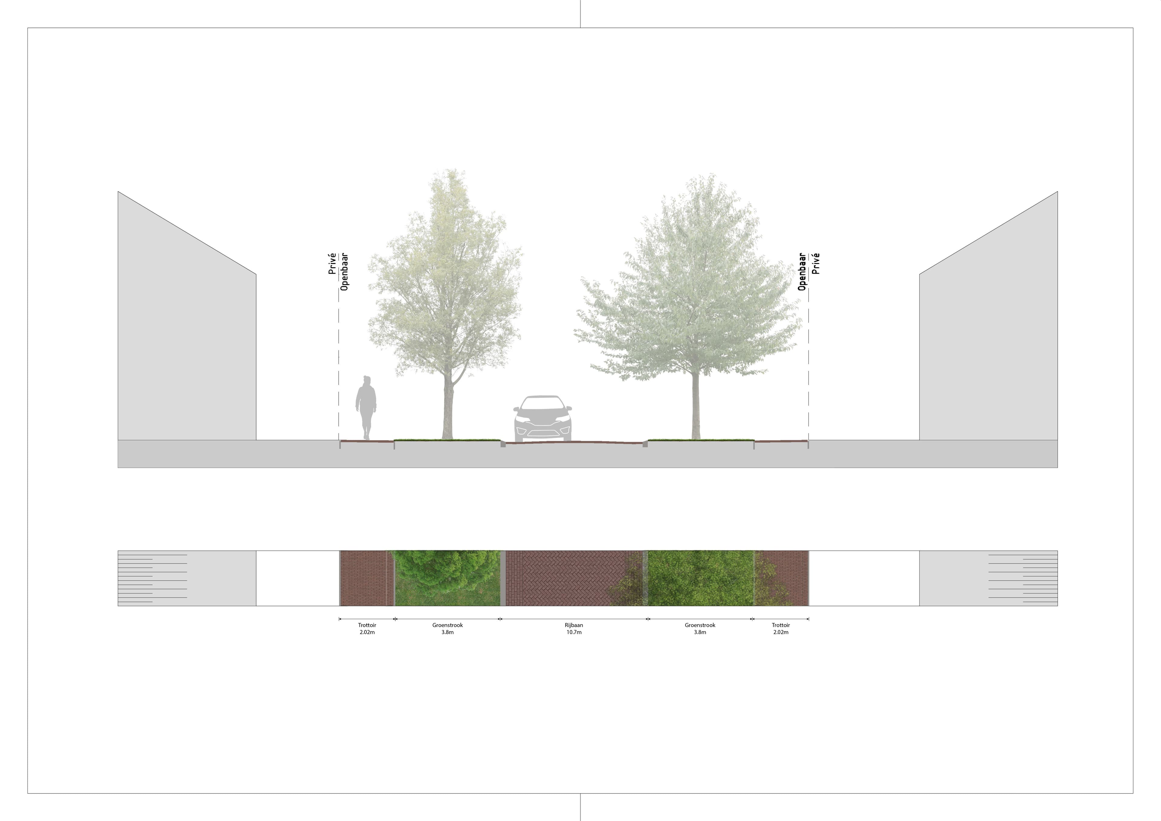 Doorsnede van een brede groene woonstraat tussen rijwoningen